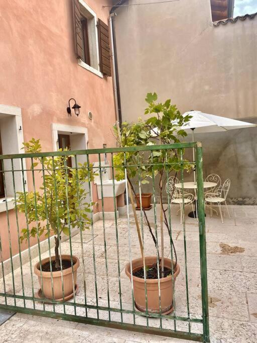 Casa Ca Orsa Villa Cavaion Veronese Eksteriør billede